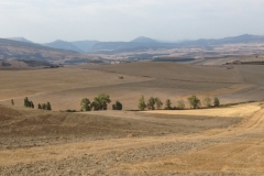 0181 2-9-16 Road out of Pamplona