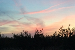 0248 Sunrise