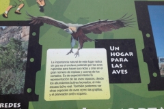 0280 Autol birds of prey