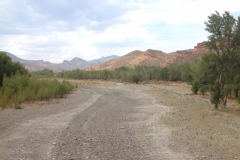 0296 road