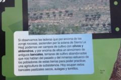 0299 Los Cortados de Arnedillo