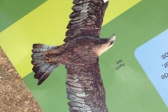 0300 eagle