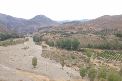 0301 terraces