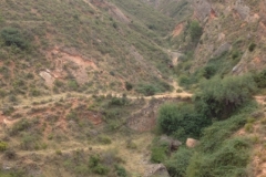 0303 terraces