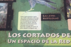 0306 info board