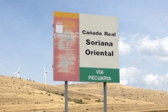 0367 sign