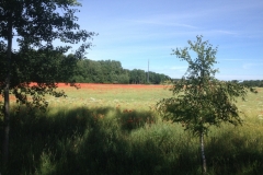 9433 27-6 Poppy field