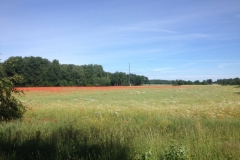 9434 27-6 Poppy field