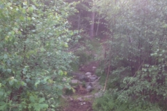 9440 28-6 overgrown path