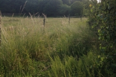 9441 28-6 field