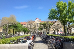 8830 18-5 bike park