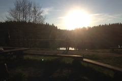 8835 18-5 evening sun