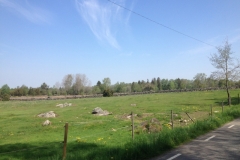8842 19-5 rocky field