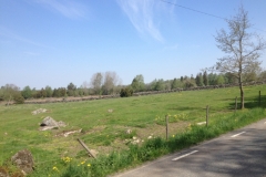 8843 19-5 rocky field