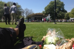 8848 19-5 pinic lunch