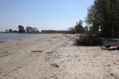 8860 20-5 beach