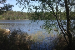 8870 20-5 lake