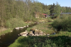 8875 20-5 stream