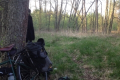 8878 20-5 trees