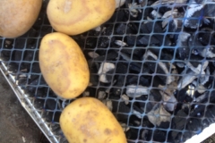 8891 21-5 Barbecue