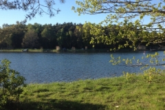 8892 21-5 Lake