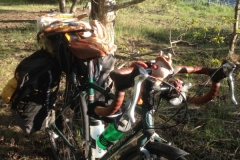 8893 21-5 Bike