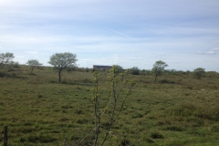 8935 22-5 view