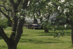 8936 22-5 car and trees