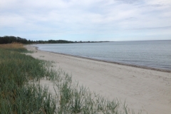 8989 29-5 beach