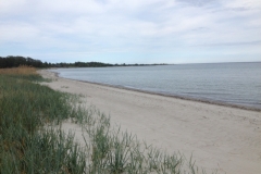8990 29-5 beach