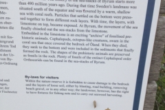 8994 30-5 info board