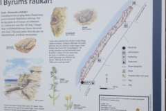 8995 30-5 info board
