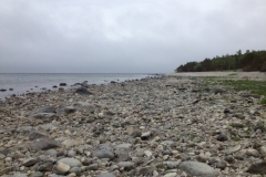 9011 30-5 pebble beach