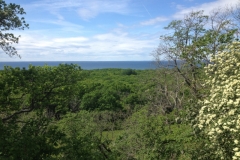 9042 2-6 view