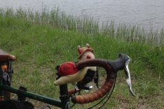 9063 3-6 BtS by the river