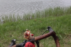 9064 3-6 BtS by the river
