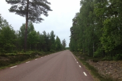 9100 4-6 road
