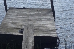 9111 5-6 platform