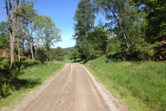 9137 6-6 Cycle path