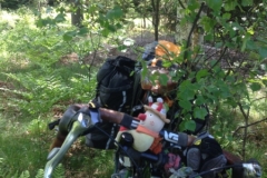 9154 6-6 bike