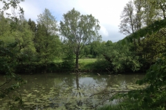 9200 8-6 river