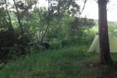 9273 12-6 wild camp by a river