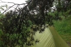 9275 12-6 wild camp by a river