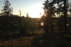 9301 14-6 evening sun