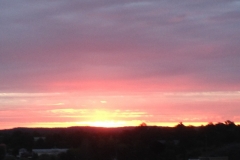 9364 17-6 sunset
