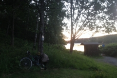 9392 20-6 bikeunder trees