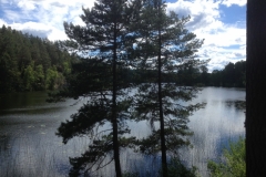 9394 21-6 Lake