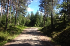 9398 21-6 path