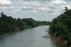 7288 26-3-19 river