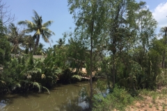 7329 27-3-19 pond